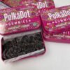 Polkadot Chocolate Bars & Magic Gummies – Bulk Sales